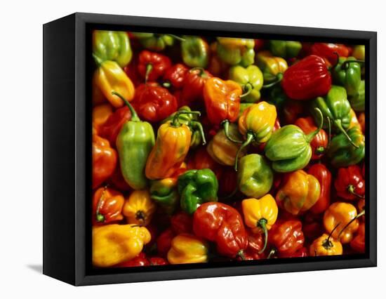 Capsicums at Brixton Market, Brixton, London, England-Neil Setchfield-Framed Premier Image Canvas