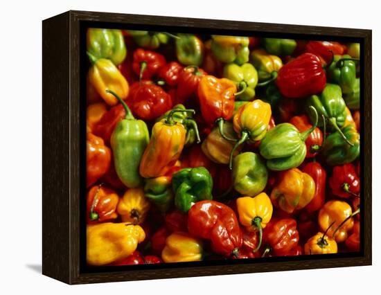 Capsicums at Brixton Market, Brixton, London, England-Neil Setchfield-Framed Premier Image Canvas