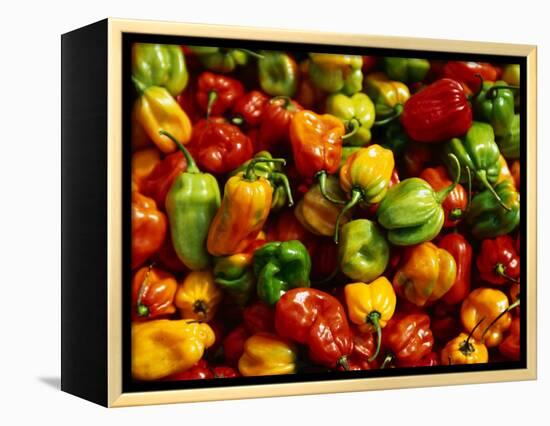 Capsicums at Brixton Market, Brixton, London, England-Neil Setchfield-Framed Premier Image Canvas