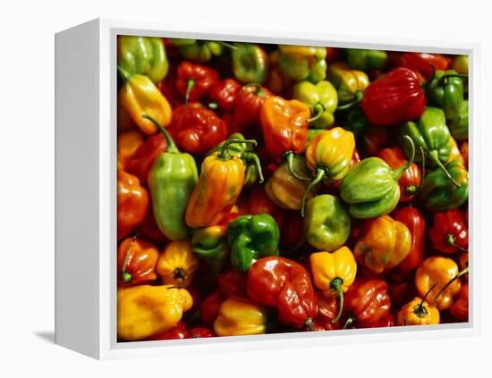 Capsicums at Brixton Market, Brixton, London, England-Neil Setchfield-Framed Premier Image Canvas