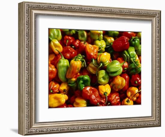 Capsicums at Brixton Market, Brixton, London, England-Neil Setchfield-Framed Photographic Print