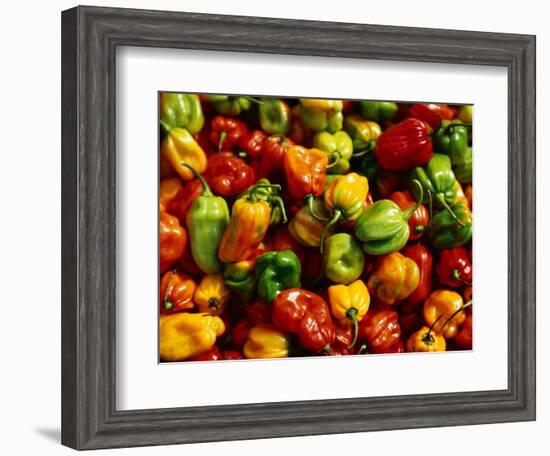 Capsicums at Brixton Market, Brixton, London, England-Neil Setchfield-Framed Photographic Print