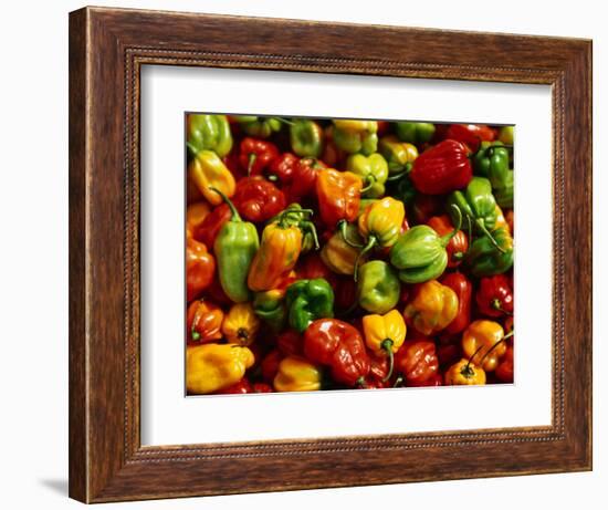 Capsicums at Brixton Market, Brixton, London, England-Neil Setchfield-Framed Photographic Print