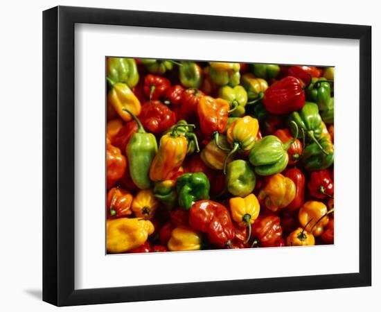 Capsicums at Brixton Market, Brixton, London, England-Neil Setchfield-Framed Photographic Print