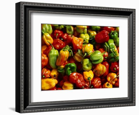 Capsicums at Brixton Market, Brixton, London, England-Neil Setchfield-Framed Photographic Print