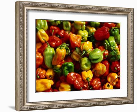 Capsicums at Brixton Market, Brixton, London, England-Neil Setchfield-Framed Photographic Print