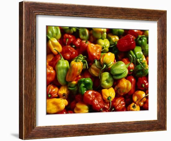 Capsicums at Brixton Market, Brixton, London, England-Neil Setchfield-Framed Photographic Print