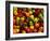 Capsicums at Brixton Market, Brixton, London, England-Neil Setchfield-Framed Photographic Print