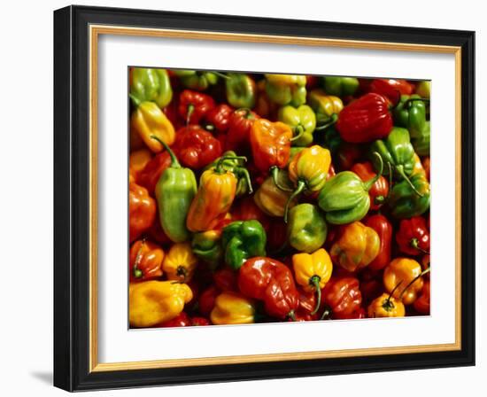 Capsicums at Brixton Market, Brixton, London, England-Neil Setchfield-Framed Photographic Print