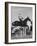 Capt. Theodore Galiza, Russian Riding Master, Taking Triple Bars, Horse Show Organized-Alfred Eisenstaedt-Framed Photographic Print