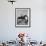 Capt. Theodore Galiza, Russian Riding Master, Taking Triple Bars, Horse Show Organized-Alfred Eisenstaedt-Framed Photographic Print displayed on a wall