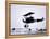 Captain Baron Von Richthofen Landing His Fokker Triplane-German photographer-Framed Premier Image Canvas