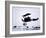 Captain Baron Von Richthofen Landing His Fokker Triplane-German photographer-Framed Giclee Print