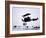 Captain Baron Von Richthofen Landing His Fokker Triplane-German photographer-Framed Giclee Print