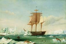 World Winds in Navigation-Captain Charles Wilkes-Framed Stretched Canvas