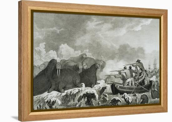 Captain Cook's Men Shooting Sea Horses-John Webber-Framed Premier Image Canvas