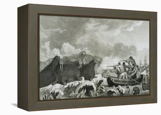 Captain Cook's Men Shooting Sea Horses-John Webber-Framed Premier Image Canvas