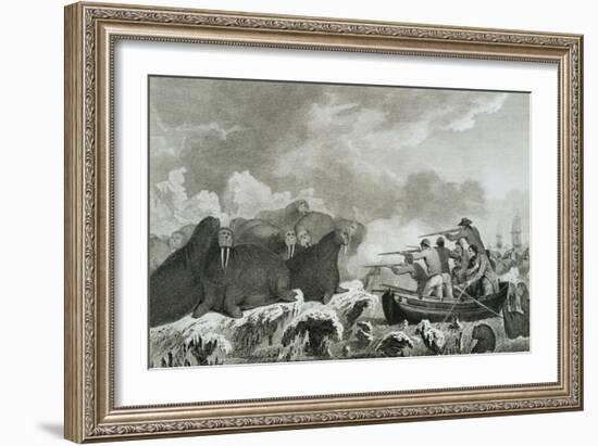 Captain Cook's Men Shooting Sea Horses-John Webber-Framed Giclee Print