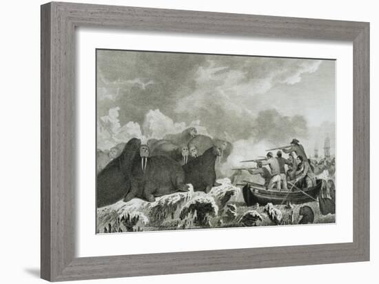 Captain Cook's Men Shooting Sea Horses-John Webber-Framed Giclee Print