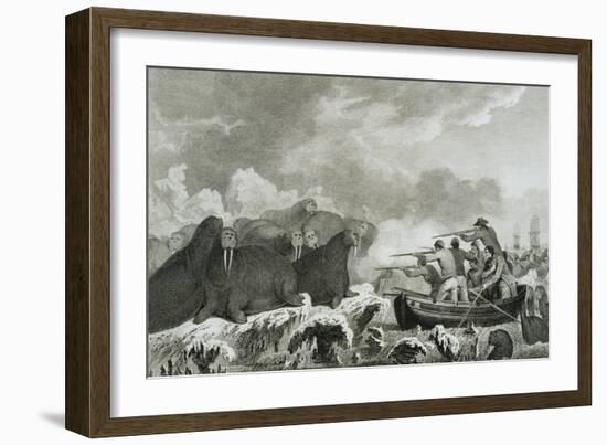 Captain Cook's Men Shooting Sea Horses-John Webber-Framed Giclee Print