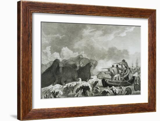 Captain Cook's Men Shooting Sea Horses-John Webber-Framed Giclee Print