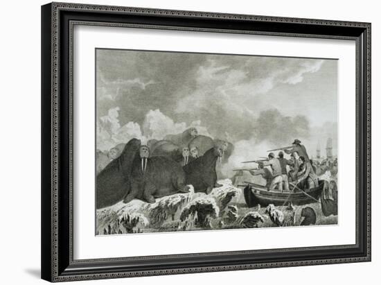 Captain Cook's Men Shooting Sea Horses-John Webber-Framed Giclee Print