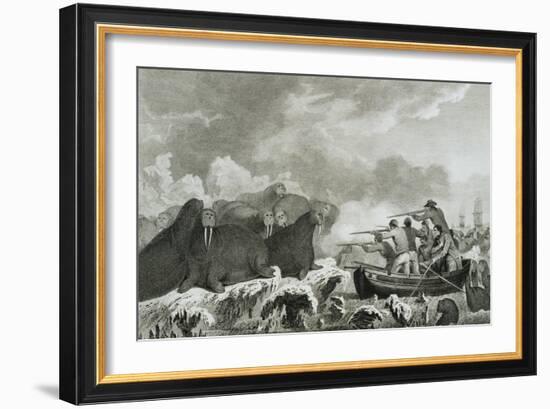 Captain Cook's Men Shooting Sea Horses-John Webber-Framed Giclee Print