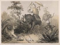 British in India Shooting a Tiger from Elephants-Captain G.f. Atkinson-Framed Photographic Print