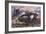 Captain Inglis's Tank-Alfred Pearse-Framed Art Print