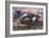 Captain Inglis's Tank-Alfred Pearse-Framed Art Print