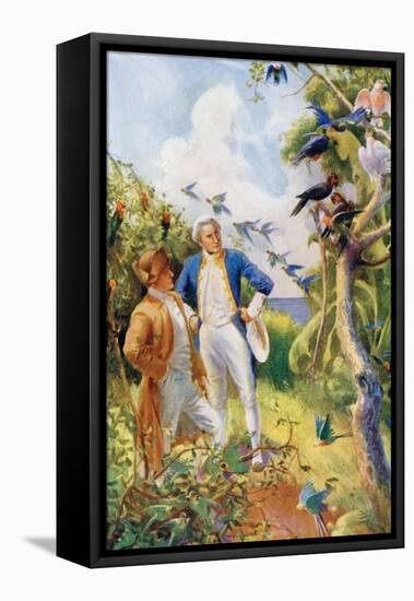 Captain James Cook and Botanist Joseph Banks Examining the Wild Life and Flora in Botany Bay-null-Framed Premier Image Canvas