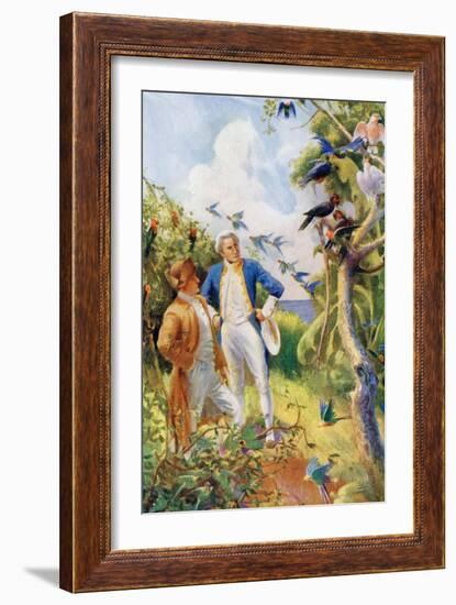 Captain James Cook and Botanist Joseph Banks Examining the Wild Life and Flora in Botany Bay-null-Framed Giclee Print