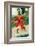 Captain Keitt-Howard Pyle-Framed Premium Giclee Print