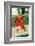 Captain Keitt-Howard Pyle-Framed Premium Giclee Print