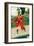 Captain Keitt-Howard Pyle-Framed Premium Giclee Print