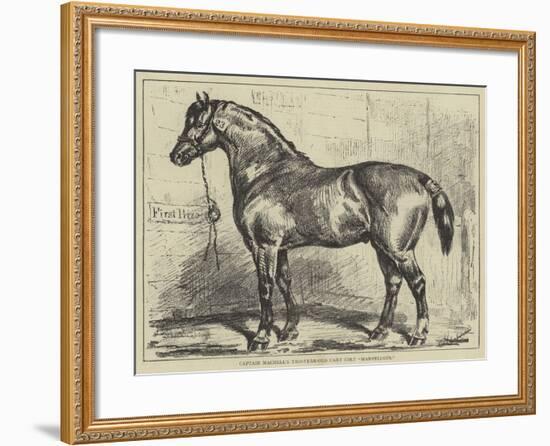 Captain Machell's Two-Year-Old Cart Colt Marvellous-null-Framed Giclee Print