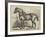 Captain Machell's Two-Year-Old Cart Colt Marvellous-null-Framed Giclee Print