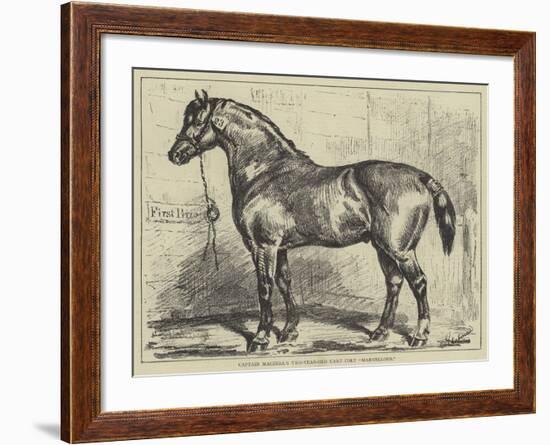 Captain Machell's Two-Year-Old Cart Colt Marvellous-null-Framed Giclee Print