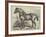 Captain Machell's Two-Year-Old Cart Colt Marvellous-null-Framed Giclee Print