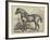 Captain Machell's Two-Year-Old Cart Colt Marvellous-null-Framed Giclee Print