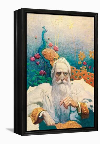 Captain Nemo-Newell Convers Wyeth-Framed Stretched Canvas