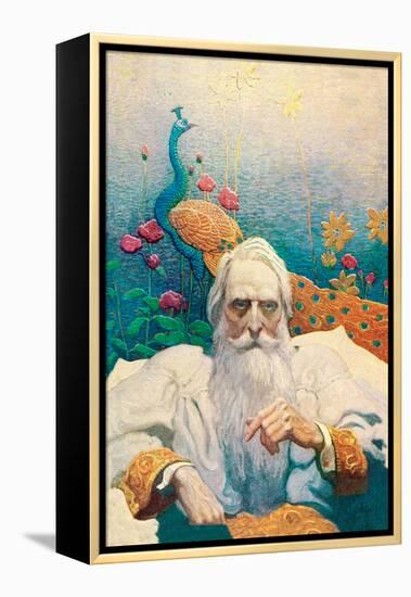 Captain Nemo-Newell Convers Wyeth-Framed Stretched Canvas