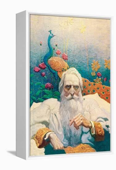 Captain Nemo-Newell Convers Wyeth-Framed Stretched Canvas