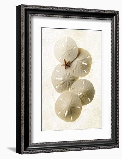 Captiva 2-Glen and Gayle Wans-Framed Giclee Print