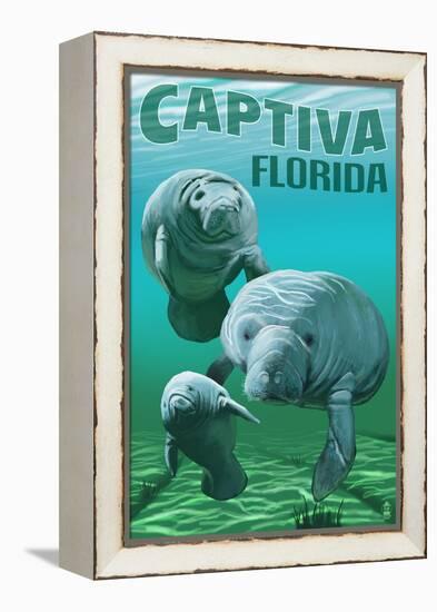 Captiva, Florida - Manatees-Lantern Press-Framed Stretched Canvas
