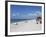 Captiva Island, Gulf Coast, Florida, United States of America, North America-Jeremy Lightfoot-Framed Photographic Print