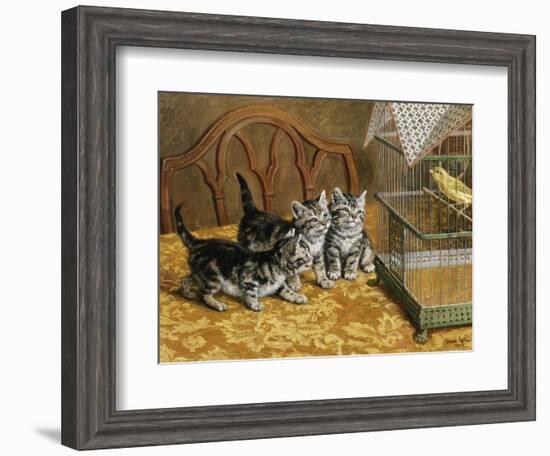 Captivated-Frank Paton-Framed Giclee Print