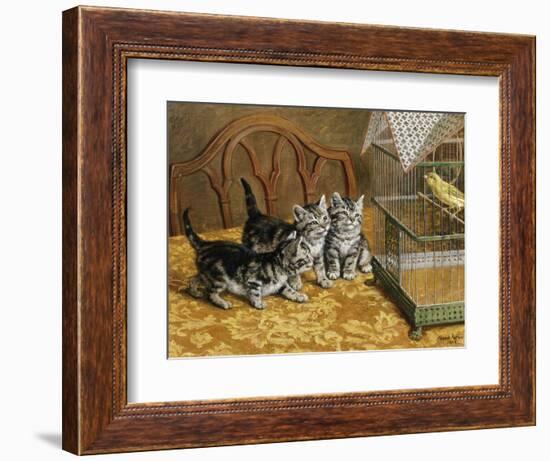 Captivated-Frank Paton-Framed Giclee Print