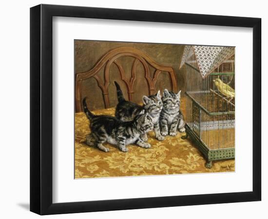 Captivated-Frank Paton-Framed Giclee Print