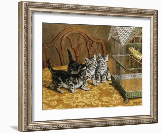 Captivated-Frank Paton-Framed Giclee Print